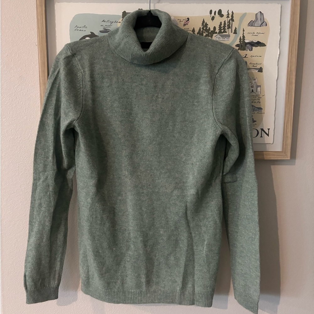 Charter Club Sage Cashmere Turtleneck